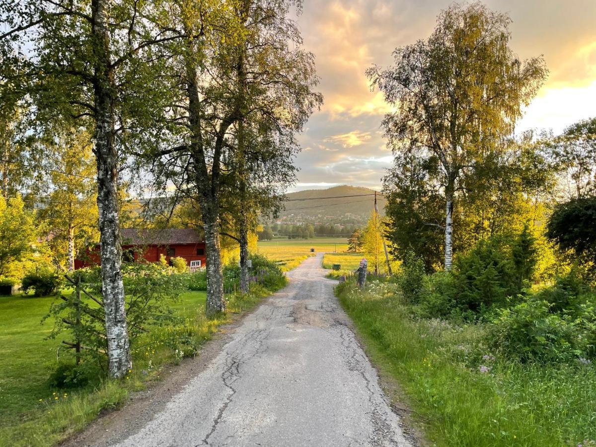 بيت شباب Helsingegarden Järvsö المظهر الخارجي الصورة