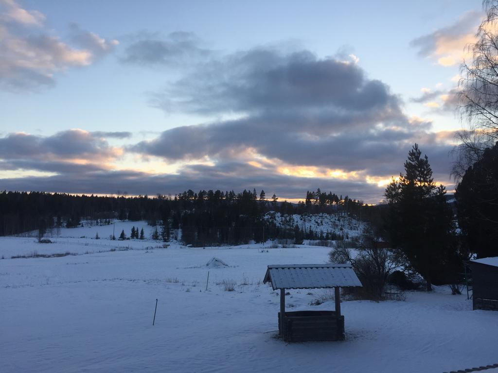 بيت شباب Helsingegarden Järvsö المظهر الخارجي الصورة