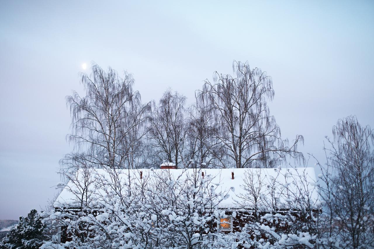 بيت شباب Helsingegarden Järvsö المظهر الخارجي الصورة