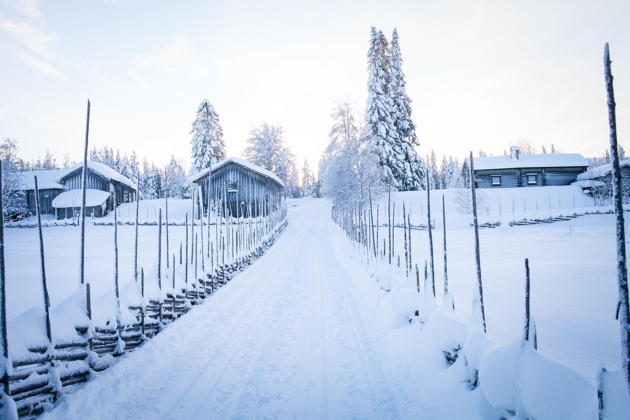 بيت شباب Helsingegarden Järvsö المظهر الخارجي الصورة