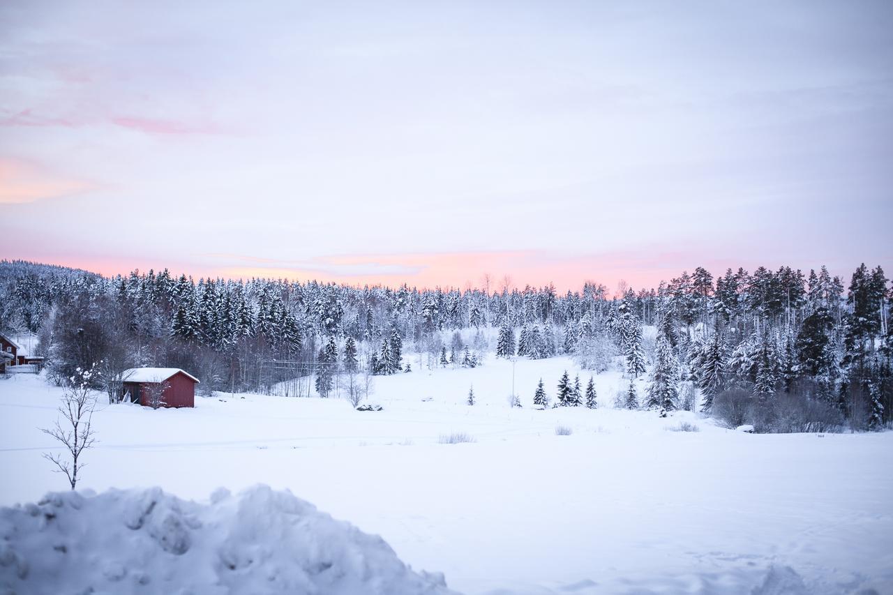 بيت شباب Helsingegarden Järvsö المظهر الخارجي الصورة