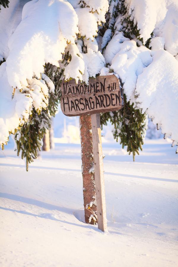بيت شباب Helsingegarden Järvsö المظهر الخارجي الصورة