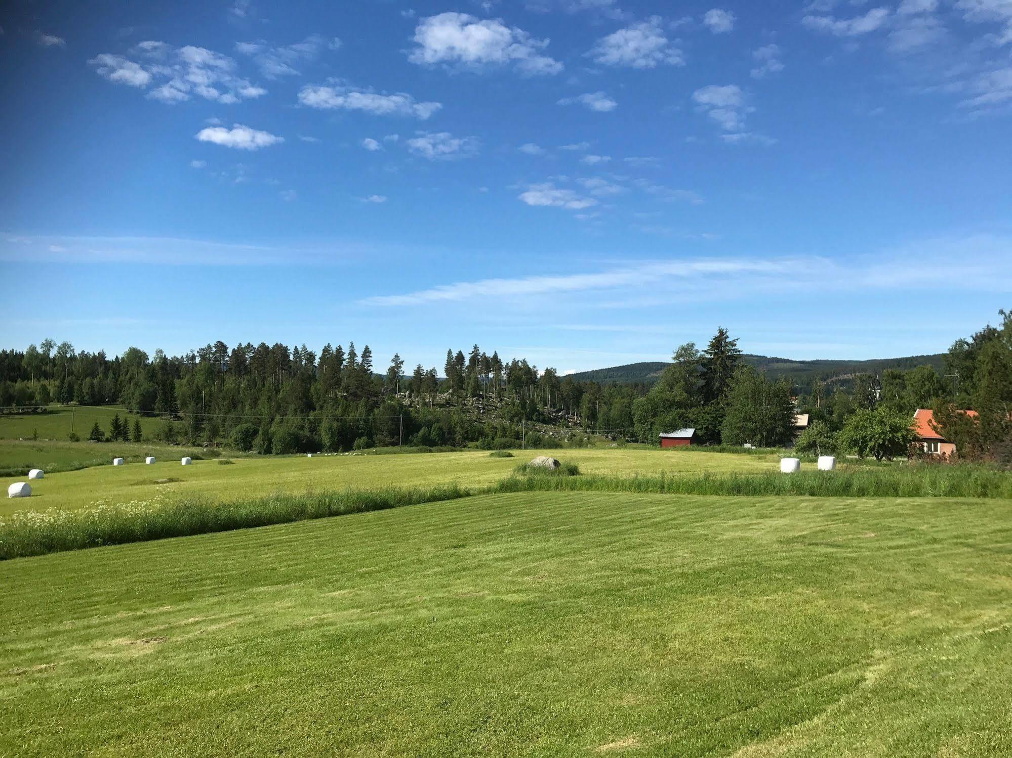 بيت شباب Helsingegarden Järvsö المظهر الخارجي الصورة